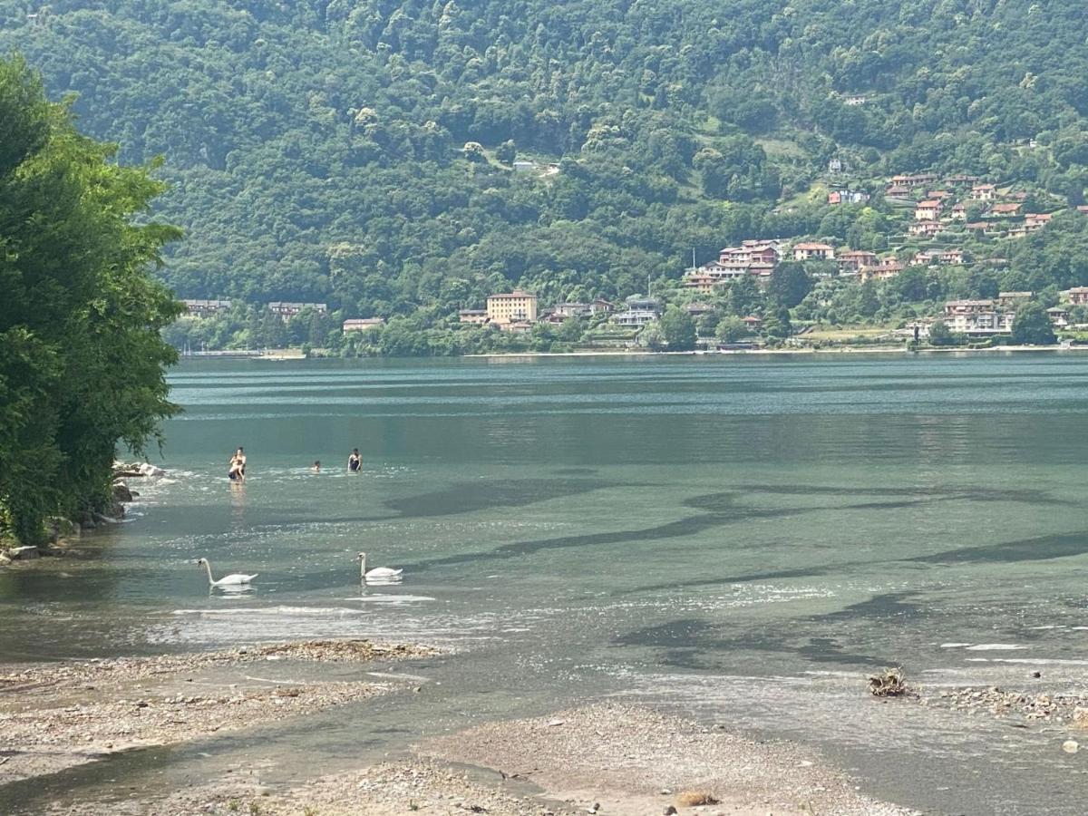 Villa The Swan - Composed By 2 Apartments Mandello del Lario Exterior photo